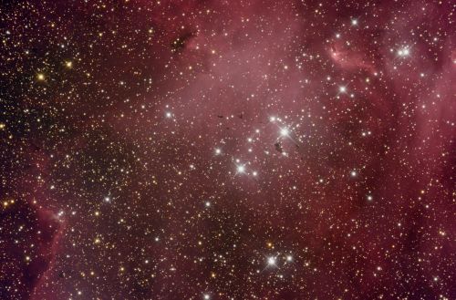  IC 2944    