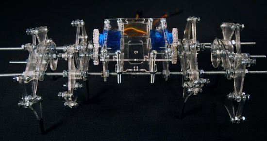 ����� Jansen Walker