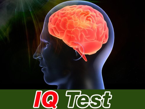   IQ