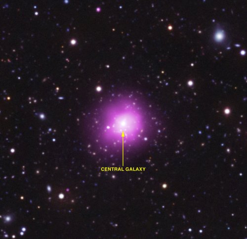   Phoenix Cluster