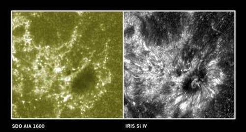     IRIS  SDO